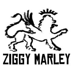 Ziggy Marley